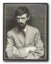 DH Lawrence critical essays