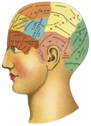 https://mantex.co.uk/wp-content/uploads/2011/08/phrenology_medium-1.jpg